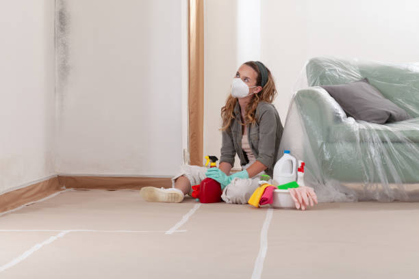 Reliable Basement Mold Remediation contractor in Madison, NJ by 24 Hour Mold Removal